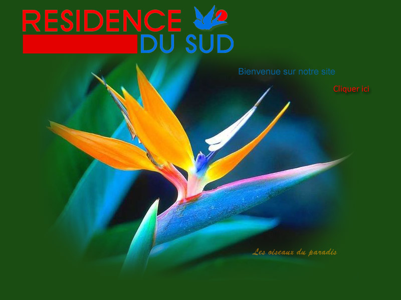 VOIR LE SITE